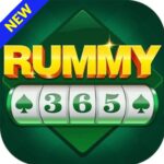 RUMMY 365