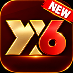 YY6